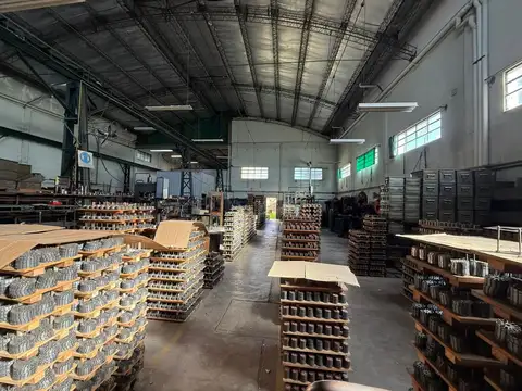 Wenceslao De Tata 5460
