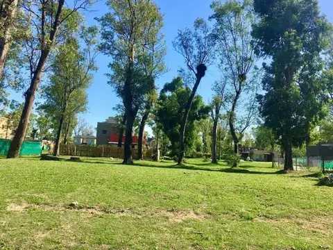 Terreno Lote  en Venta en Francisco Álvarez