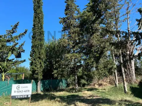 Terreno en Venta 21  mts Fondo