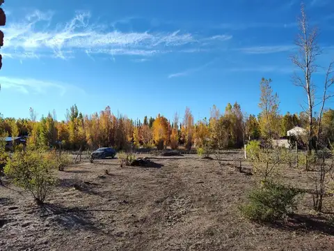 Terreno en Venta en Plottier, $ 25.000.000