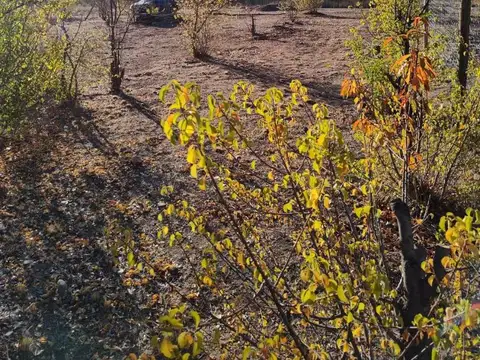 Terreno en Venta de 665,0 m2