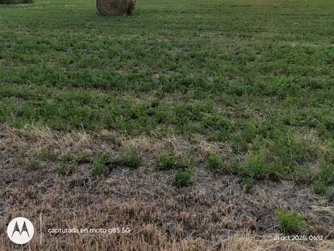 2.996 Has ganaderas con infraestructura en Federal