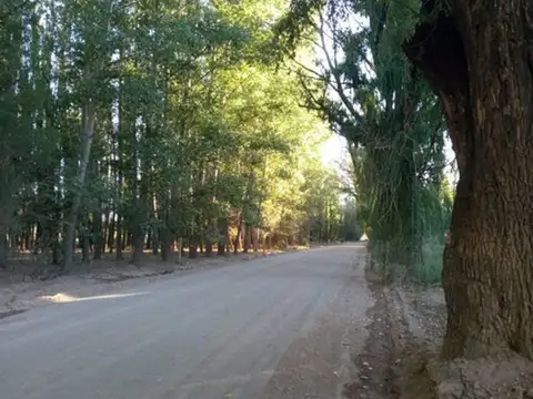 Venta Lote Comercial y Residencial Uspallata Mza