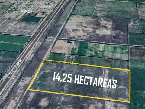 Venta de Hectareas en blanco Mainque