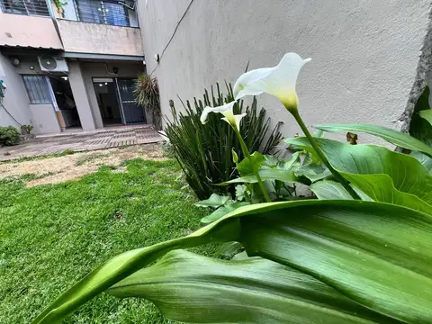 Dos Amplios ambientes c/JARDÍN y Cochera!
