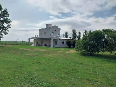 Campo en Pergamino 515 has. del mejor suelo Argentino