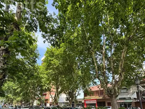 Sayos  al 5500