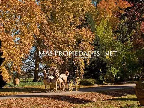 Terreno en Venta de 1100,0 m2