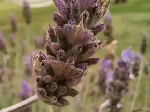 Hotel en Venta 8 años