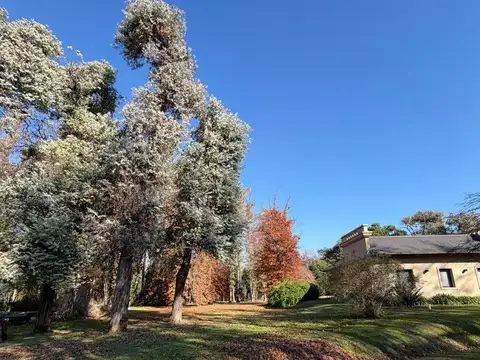 Terreno en Venta 40  mts Fondo