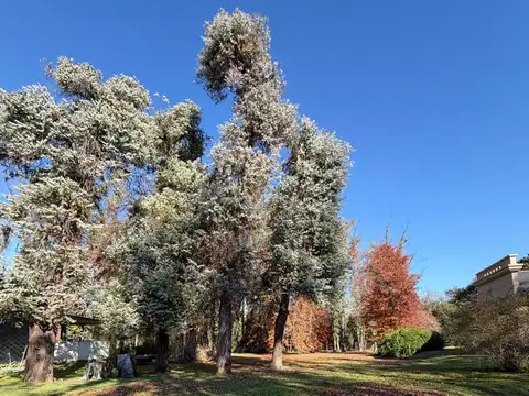 Terreno en Venta de 720,0 m2