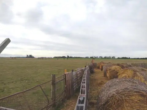 Chacra 18 hectáreas - Torres - Luján