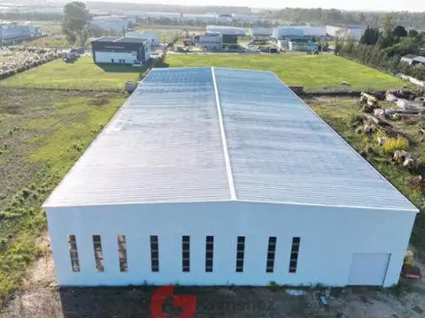 Puente del Inca al 2000