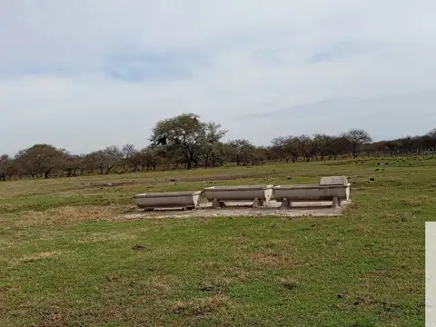 Federal Entre Ríos 100