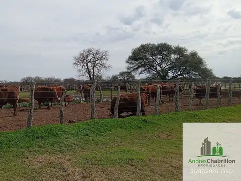 Federal Entre Ríos 100