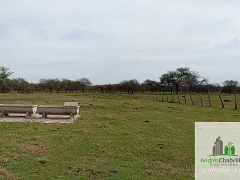 Campo en alquiler de 1400has ubicado en Federal Entre Ríos