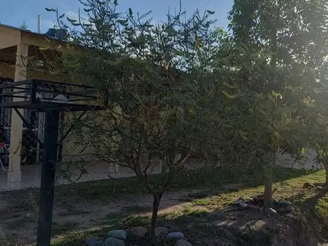 Calle Pública 100