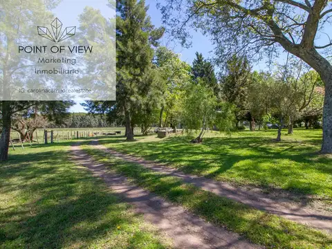 VENTA CASCO DE  ESTANCIA 75 HAS - PRODUCCION AGRICOLA GANADERA - CONCEPCION DEL URUGUAY - ENTRE RIOS