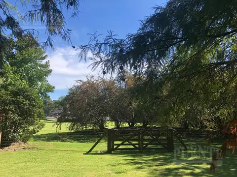 Terreno en Venta de 1229,0 m2