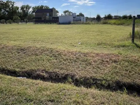 OPORTUNIDAD Maiztegui y Houssay