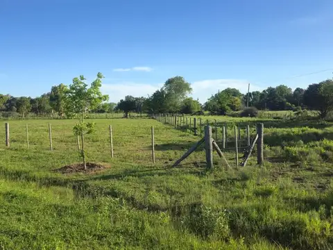 Terreno en Venta de 2861,0 m2