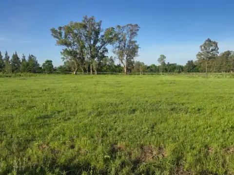 OPORTUNIDAD DE LOTES CON TRANQUERA CERRADA