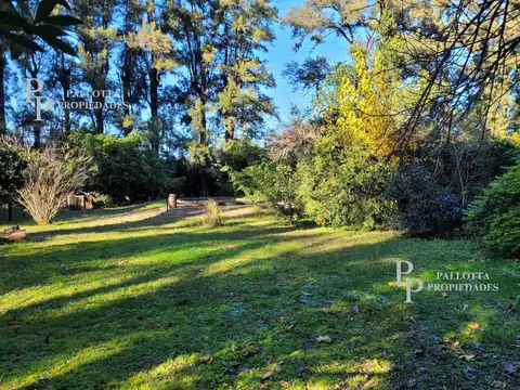 Terreno en Venta 12  mts Frente