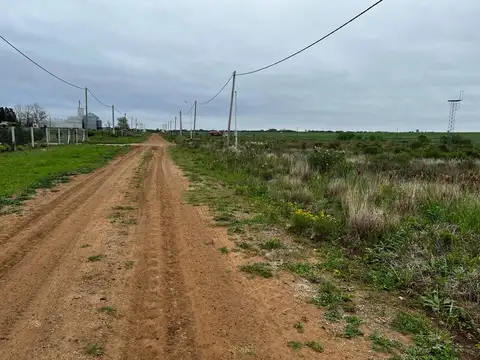 Vendo Lote de 1 Hectárea en San Justo, Entre Ríos.