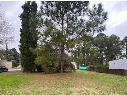 Av. Pres. Perón  al 3300