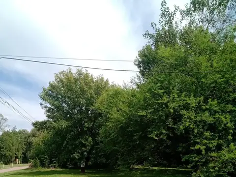 VENDE LOTE - ESQUINA - 800M2 - LOS PINOS - VILLA AMELIA