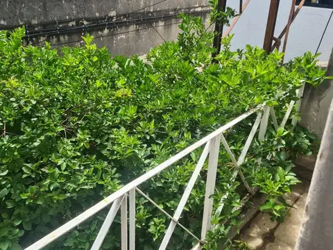 Depto Tipo Casa en Venta en Centro, USD 61.000