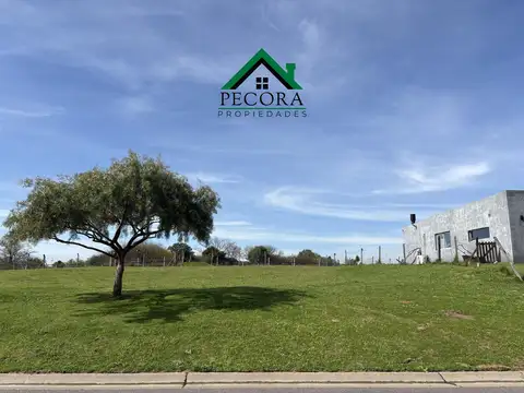 Terreno en Venta 41  mts Fondo