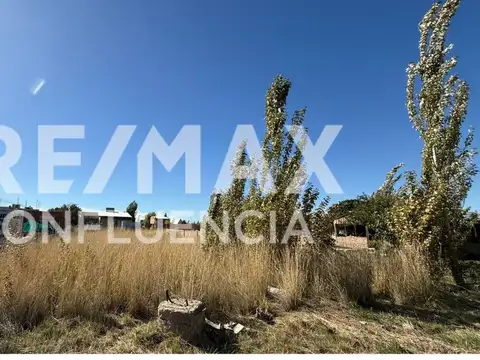 Terreno en Venta de 445,0 m2