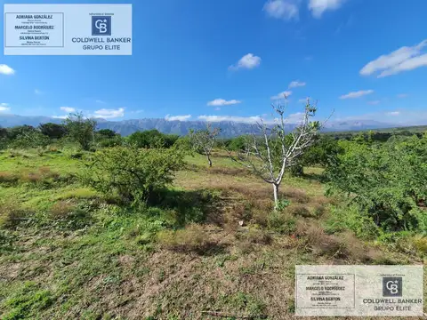 Finca en Cortaderas
