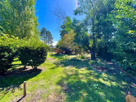 Ignacio Alsina 2800, Piso 0