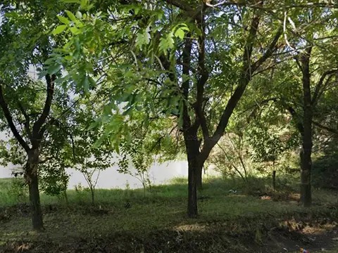 Pedro A. Ríos al 300