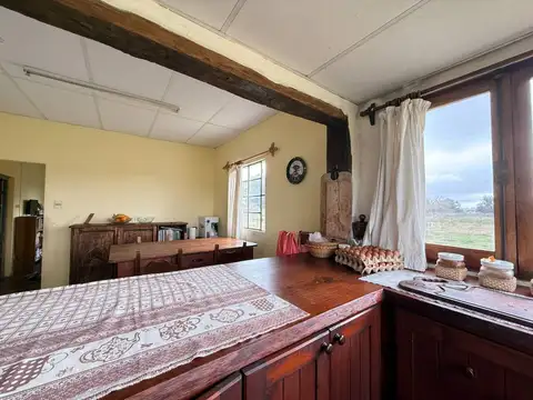 Venta chacra 3 hectáreas indice CONEAT 192.