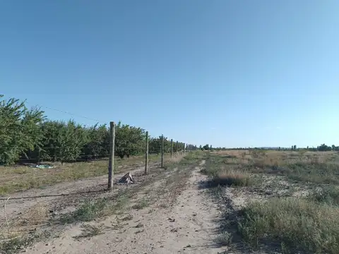 GERONIMO RUIZ S/N COQUIMBITO MAIPU