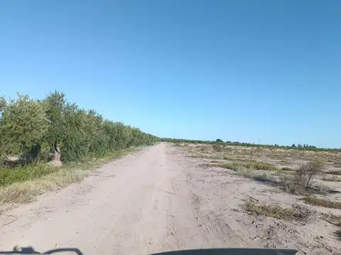 Terreno en Venta de 237000,0 m2