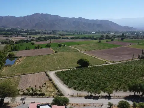 Campo en venta de 20 hectareas