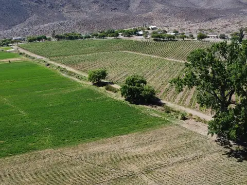 Venta campo 20 hectareas Cachi Adentro Salta
