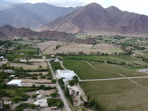 Campo en venta de 20 hectareas