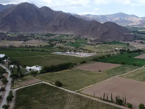 Campo en venta de 20 hectareas