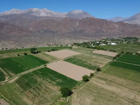 Campo en venta de 20 hectareas