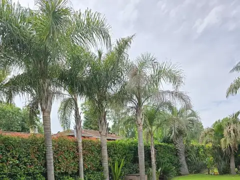 Alquiler Temporal Fincas De Maschwitz