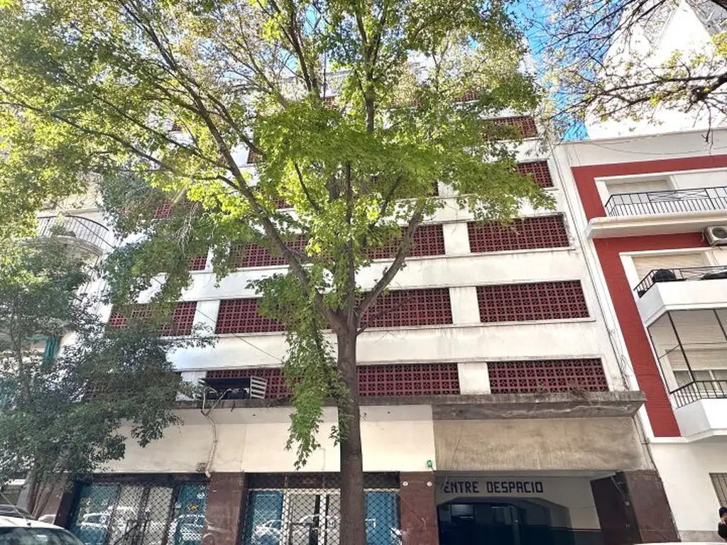 Senillosa 200