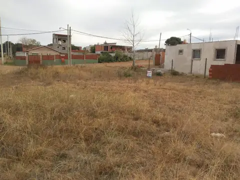 Avenida 14 al 3000