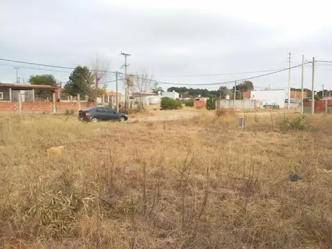 Avenida 14 al 3000