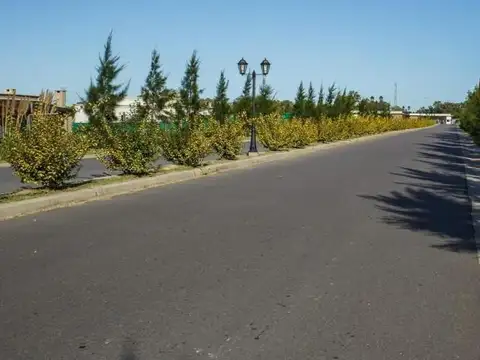 Terreno en Venta 20  mts Fondo