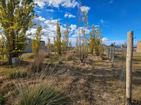 Calle Río Negro  al 400 Fernandez Oro